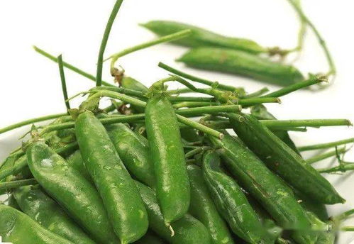 椒小BBW：独特观点，视角卓越