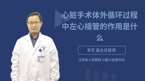 继电保护（继保）详解：定义、功能与应用