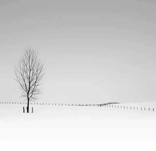 黑色地带的隐喻意义——提升你的理解