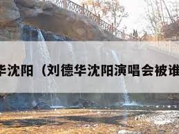 刘德华魅力燃爆沈阳：连续多晚巨星盛宴等你来嗨！