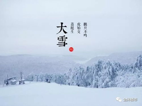 经典名句‘丰年好大雪’,下一句是什么?引人深思的文学接龙!