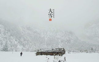 经典名句‘丰年好大雪’,下一句是什么?引人深思的文学接龙!