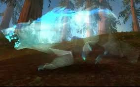 WOW猎人必备：6.1版本稀有灵魂兽全收集指南