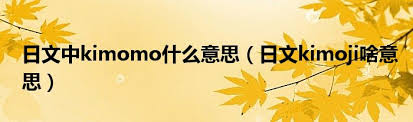 Kimoji的含义及使用指南