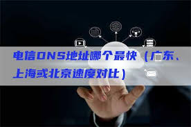 上海电信DNS地址查询