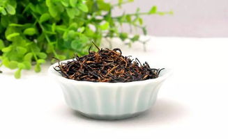 海南茶香：探秘海南岛上的特色茗茶
