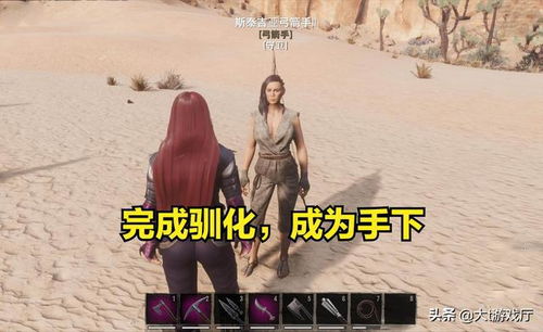 《流放者柯南》深度攻略：高效奴隶训练技巧大+最佳抓捕地点推荐，助你称霸荒野！