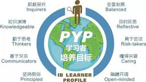 PYP含义全解析：了解PYP的真正意义