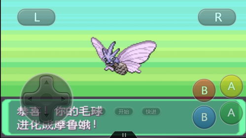精灵宝可梦GO：摩鲁蛾全面属性分析与图鉴