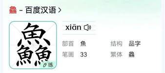 鱼友心中的那片蔚蓝：探秘养鱼爱好者的独特'念'想世