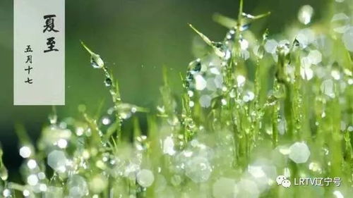 夏至后白天时长变化-夏至后白天是否会变得更长