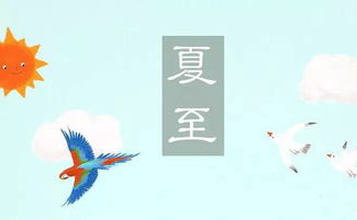 夏至后白天时长变化-夏至后白天是否会变得更长