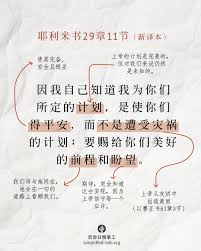 《筑梦小巢：每个人心中对家的渴望》