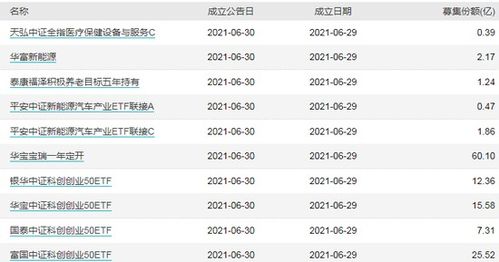 基金交易手续费的详细收费标准