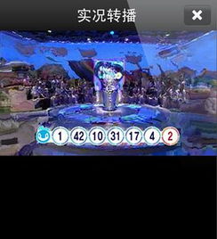 现场与实况：直播与转播，你真的分得清吗？