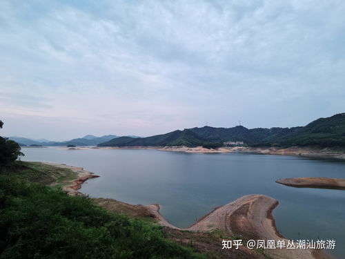 汤溪水库旅游与水质信息全方位指南