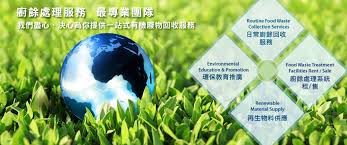 5252B网站:探索二次元文化的独特魅力