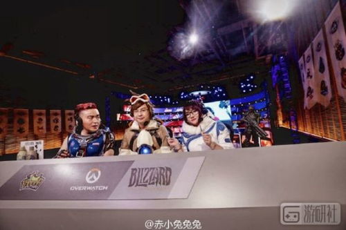 ！谁是网络爆红的赤小兔？