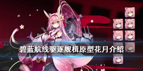 深度解析：'苍红'一词背后的多重含义与原创性探讨