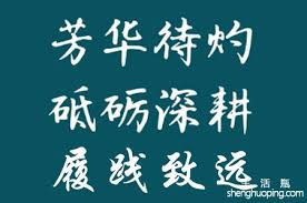 砥砺深耕,芳华待灼:履践致远的人生哲理