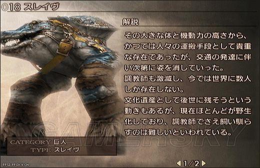 热门地区BOSS全讨伐怪物图鉴大放送,提升战力必看!