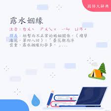 露水姻缘：一段短暂而迷人的爱情故事