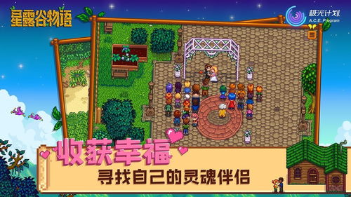 《星露谷物语：甜蜜家园攻略——如何成功迎娶真爱并迎来家族新成员》