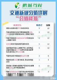 交通罚款代码17172大一次违规，竟要扣12分并罚款200元！