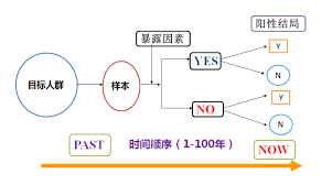 探究回顾性研究的奥秘