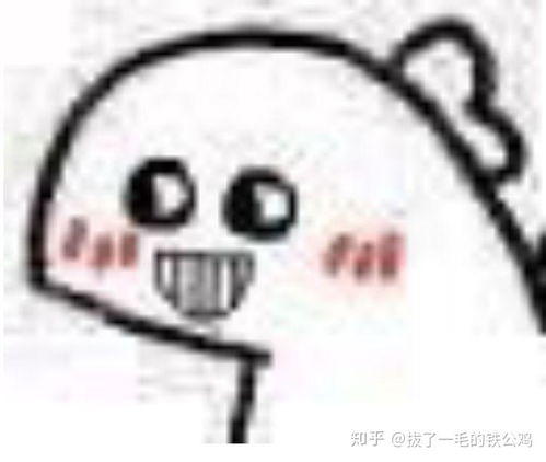 艾美多：探索未知，引领未来潮流的秘密组织