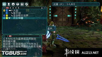 PSP《梦幻之星 portable 版2》武器全览