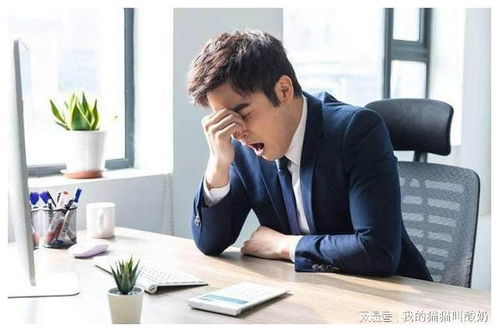 男性为何偏爱性工作者作为伴侣背后的真相？