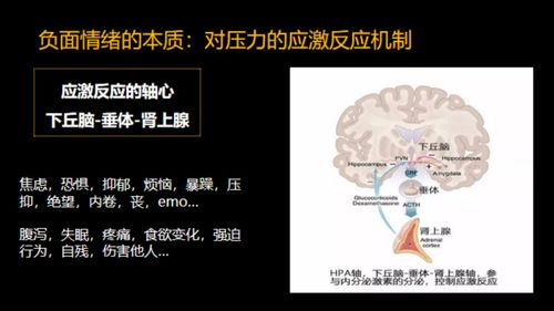 'before'背后的深层含义，你绝对想知道！