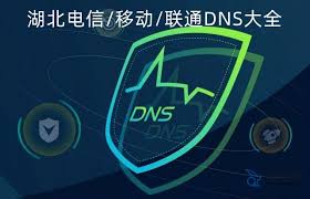 湖北省电信DNS服务器地址