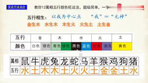 东方木为何呈青：探索古老五行中的色彩奥秘