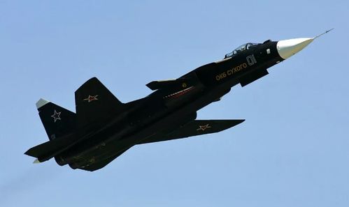 《天空霸主：F2G战斗机驰骋战疆》