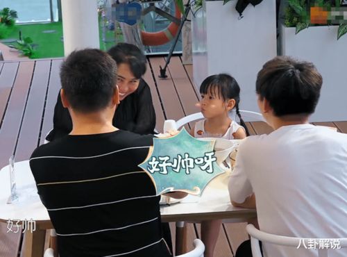 30厘米贵宾接待指南：微型客人的独特需求与贴心服务