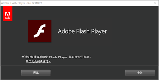 ActivexFlash和PpapiFlash的区别是什么？