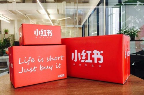 杨氏牦户：为何他们的牦牛既肥美又健壮，背后有何秘诀？