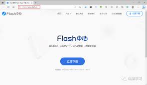 ActivexFlash和PpapiFlash的主要区别是什么?