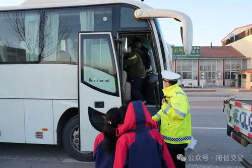 什么是真正的一型客车？揭开客车分类的秘密