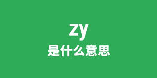 'ZY'背后的神秘含义，你绝对想知道！