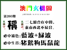 澳门近15期彩票开奖结果速览