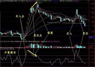 深入解析D系109B高级技术与实战策略