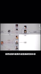 杰出企业家杨茂芝：创新与坚持的传奇人生
