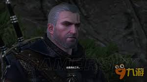 《巫师3》'披着狼皮'任务高效攻略：步骤详解