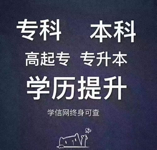 ！杨力虹老师的教育背景，学历深度超乎想象