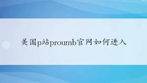 美国P站Proudmb官网访问入口