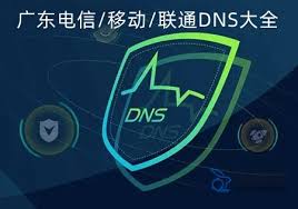 广东电信DNS服务器地址查询