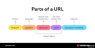 ！www.579n.com域名背后的含义与神秘故事